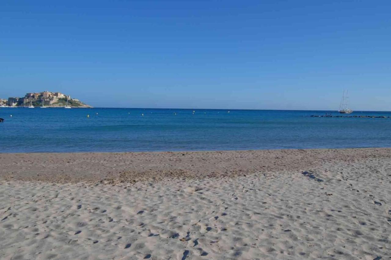 Location De Vacances Olivier Jardin Privatif Et Piscine Chauffee Partagee Calvi  Exterior photo