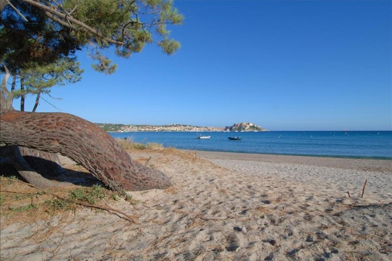 Location De Vacances Olivier Jardin Privatif Et Piscine Chauffee Partagee Calvi  Exterior photo